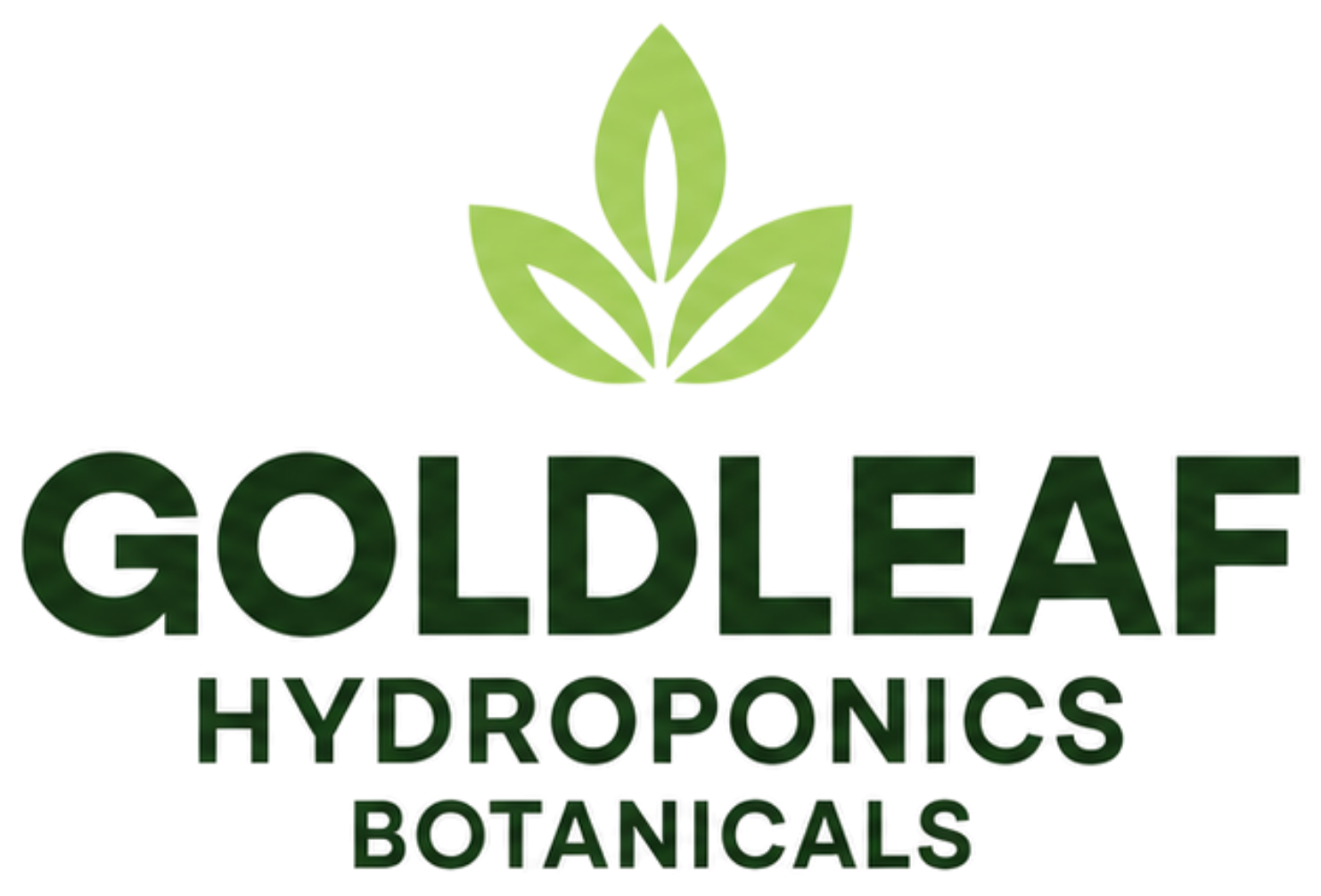 Goldleaf Hydroponics Botanicals logo with green leaf icon and black text