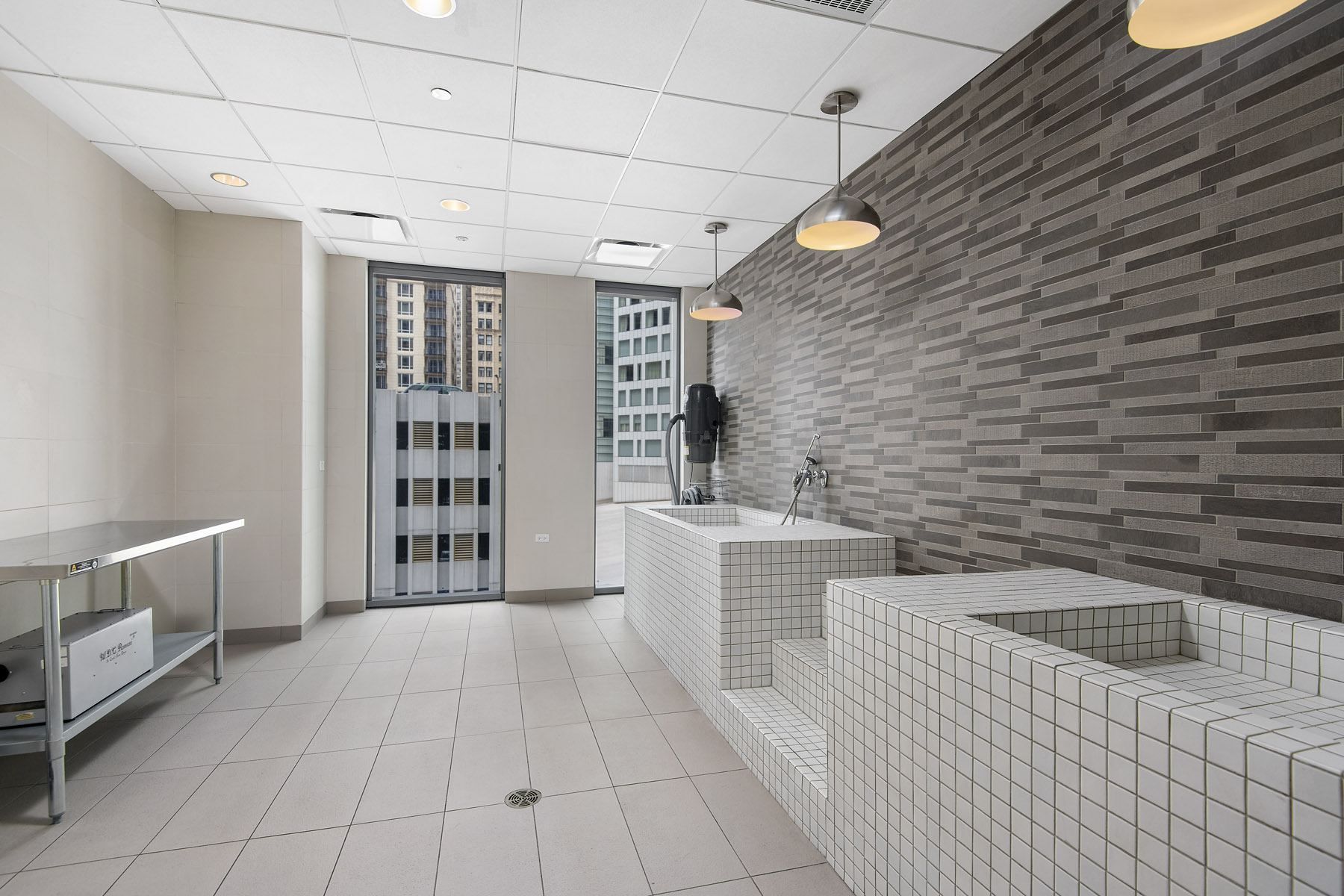 Pet Spa State and Chestnut Apartments 60610