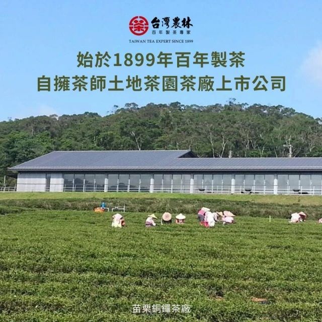 台灣農林 日月紅茶(茶包25入/盒)