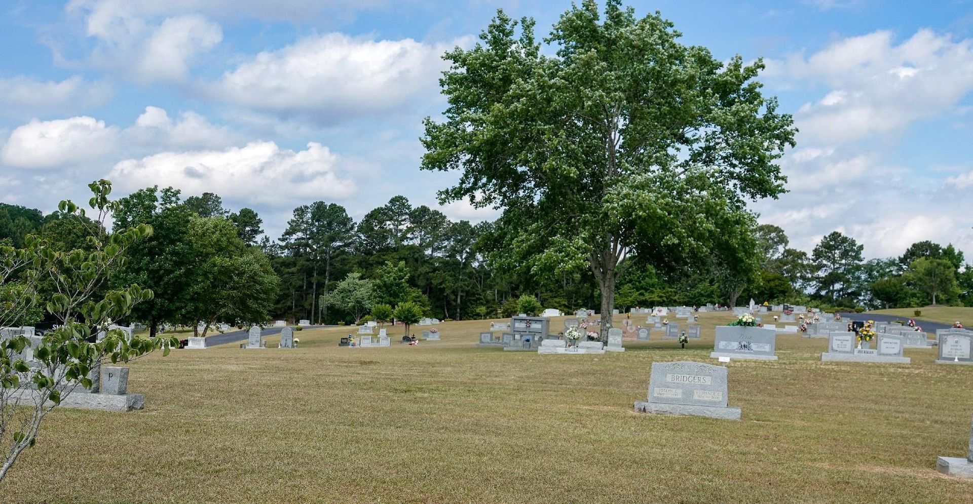 Grassy cemetery with scattered headstones and a large tree under a partly cloudy sky