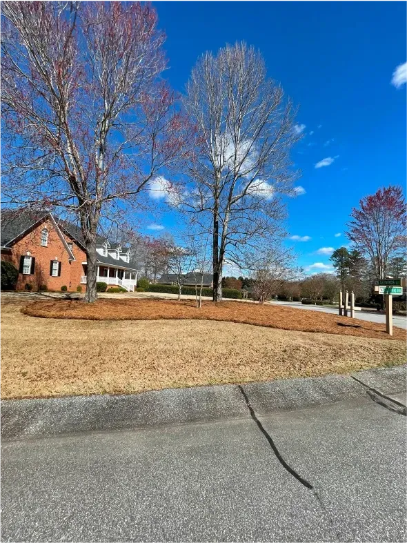 House and trees with mulch beds and clear blue sky.