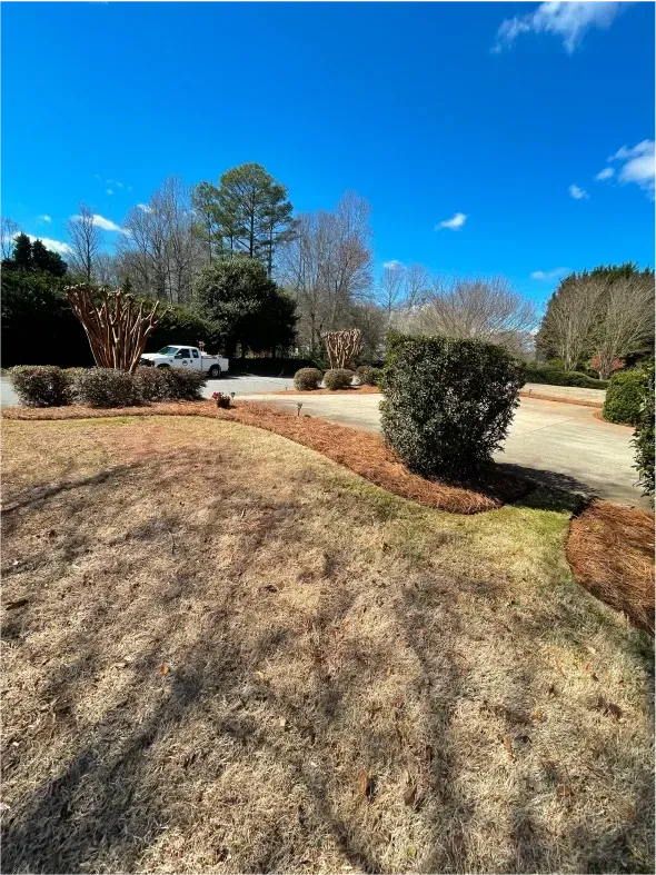 Grassy yard and driveway with brown mulch and bushes, a white truck, and trees under a blue sky.