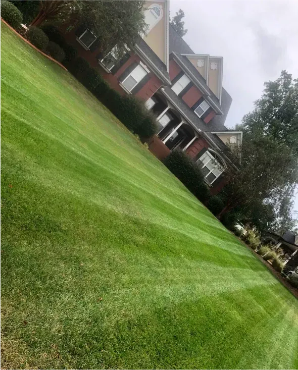 Green lawn slopes down towards a large brick house with neatly trimmed rows. Overcast sky.