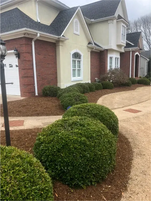 Exterior of a house with red brick and cream stucco, trimmed hedges line the walkway.