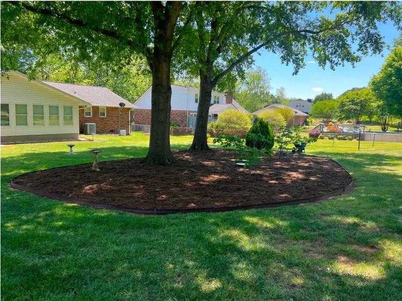 Lush backyard with two trees in a mulch bed, surrounded by green grass. Houses and blue sky in background.