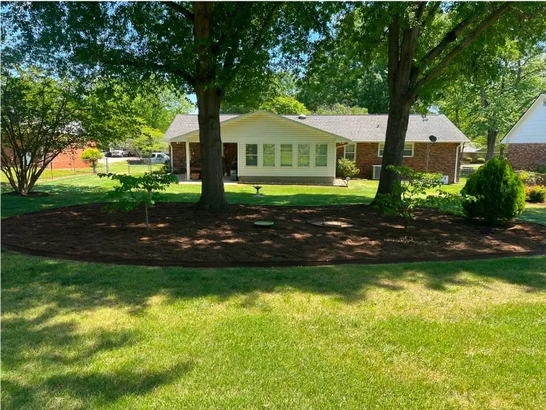 Backyard with mulched tree beds, green lawn, and a one-story house.