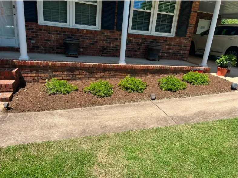 Front yard with a brick porch, shrubbery, mulch, and a concrete walkway.