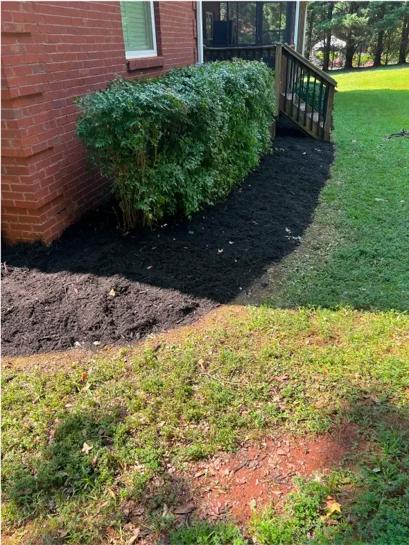 Dark mulch bed borders a trimmed green hedge along a brick wall and grassy lawn.