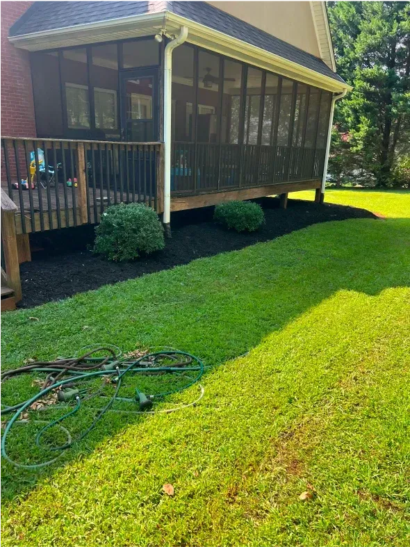 A screened porch with a wooden deck, two bushes, and a green lawn.