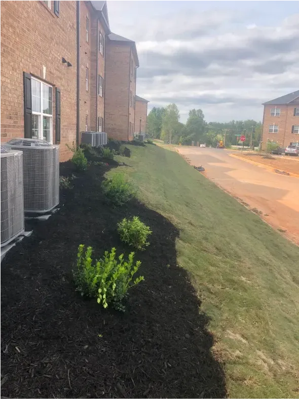 Landscaped area with dark mulch, shrubs, and a grassy slope beside a brick building and road.