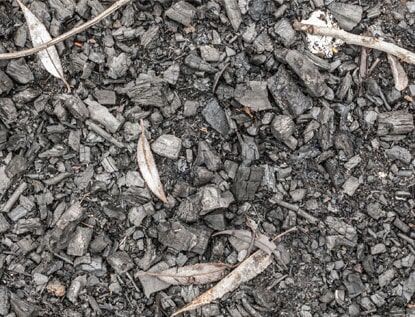 BIOCHAR: a thermally modified biomass