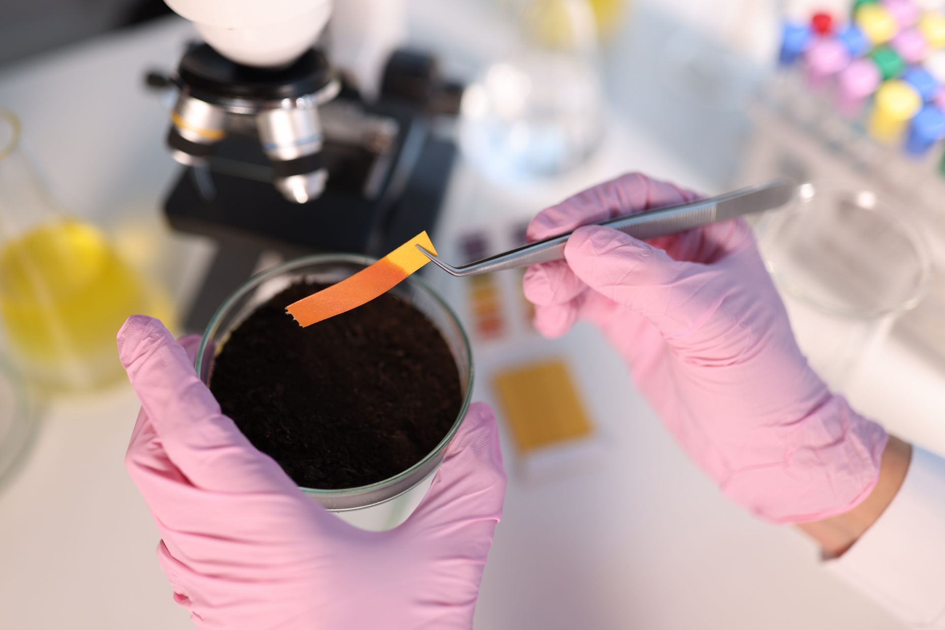 PH test strip and soil study in a laboratory, closeup.