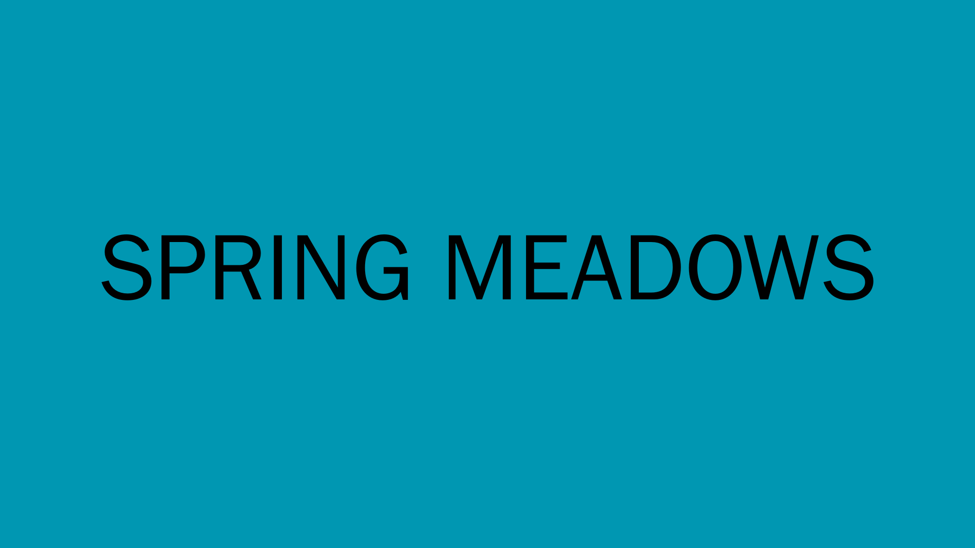 Text reading “SPRING MEADOWS” on a teal background.
