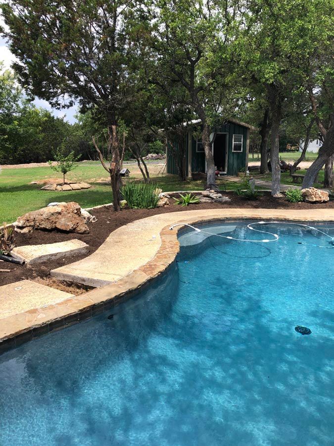 Pool with blue water and curved concrete edge. Green shed and trees in background.