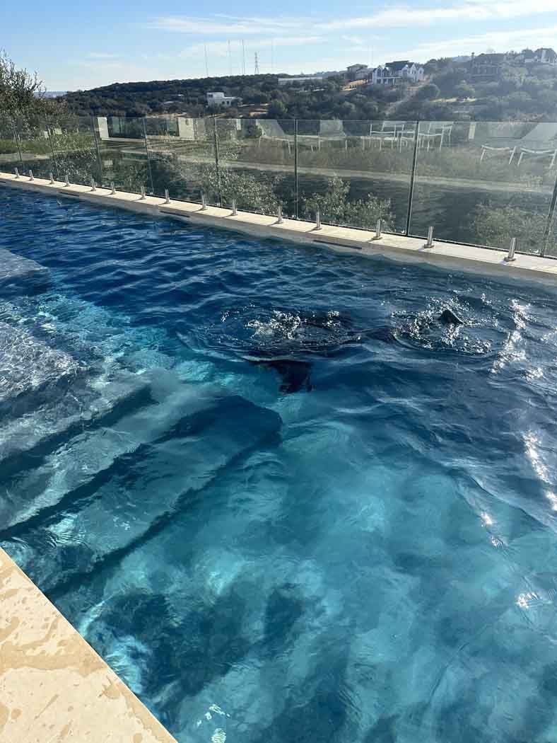 Person swimming in a clear blue pool outdoors with a landscape background.