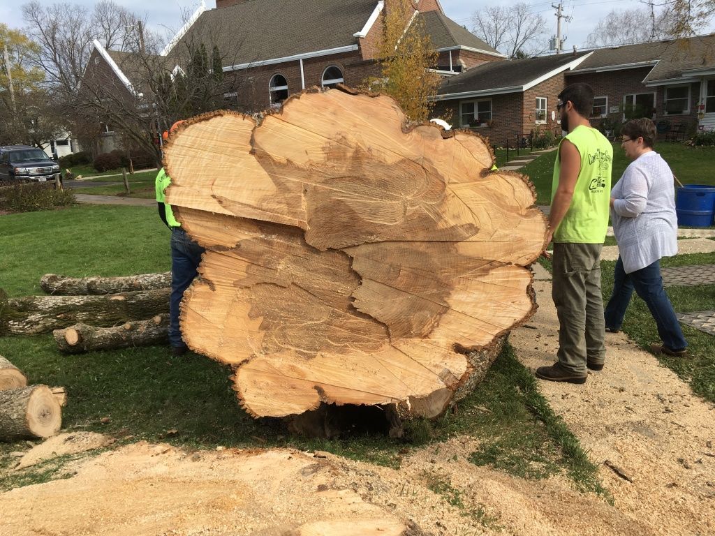 Workers maneuver a huge cut tree trunk in a suburban yard near a house