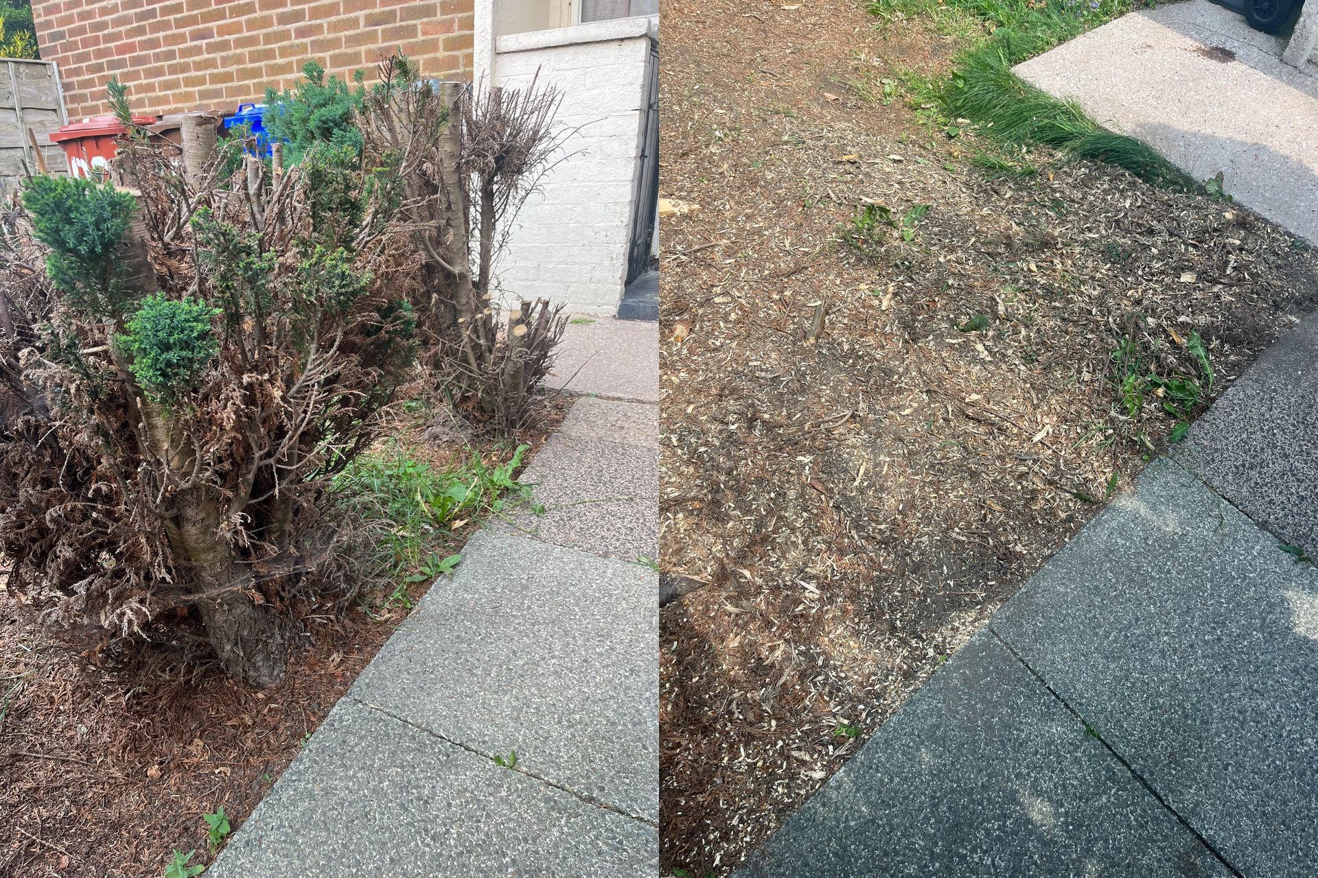 Stump removal Northern Moor Manchester