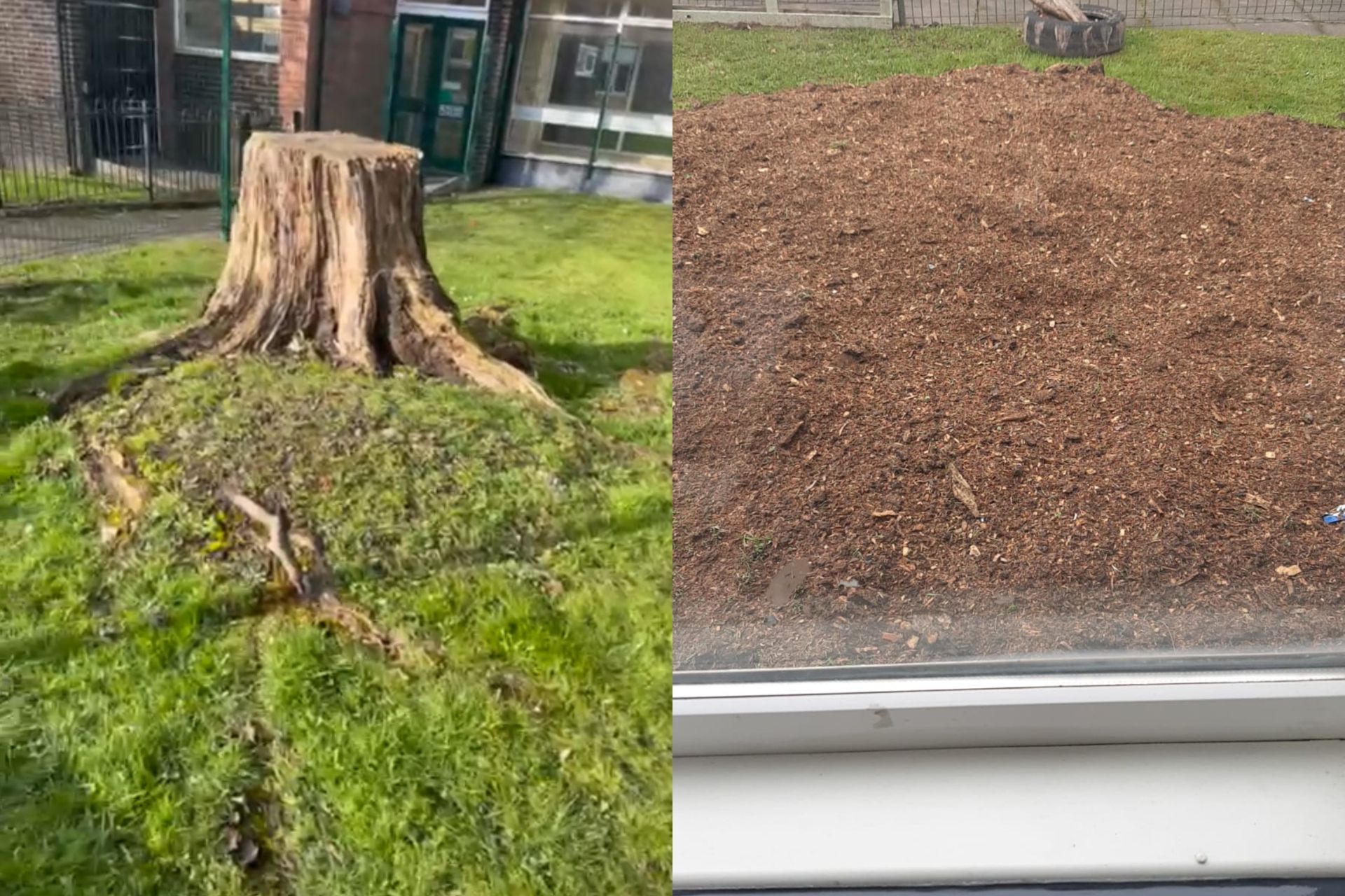 Tree Stump Removal Manchester