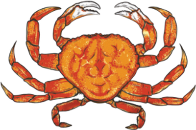Orange Dungeness crab with extended claws and legs on a white background.