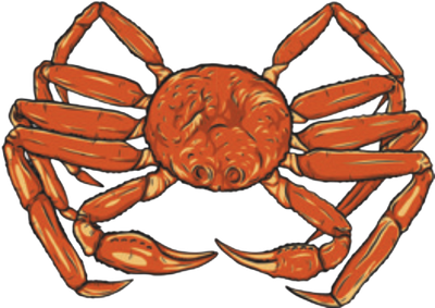 Red snow crab with long legs and claws, viewed from above.