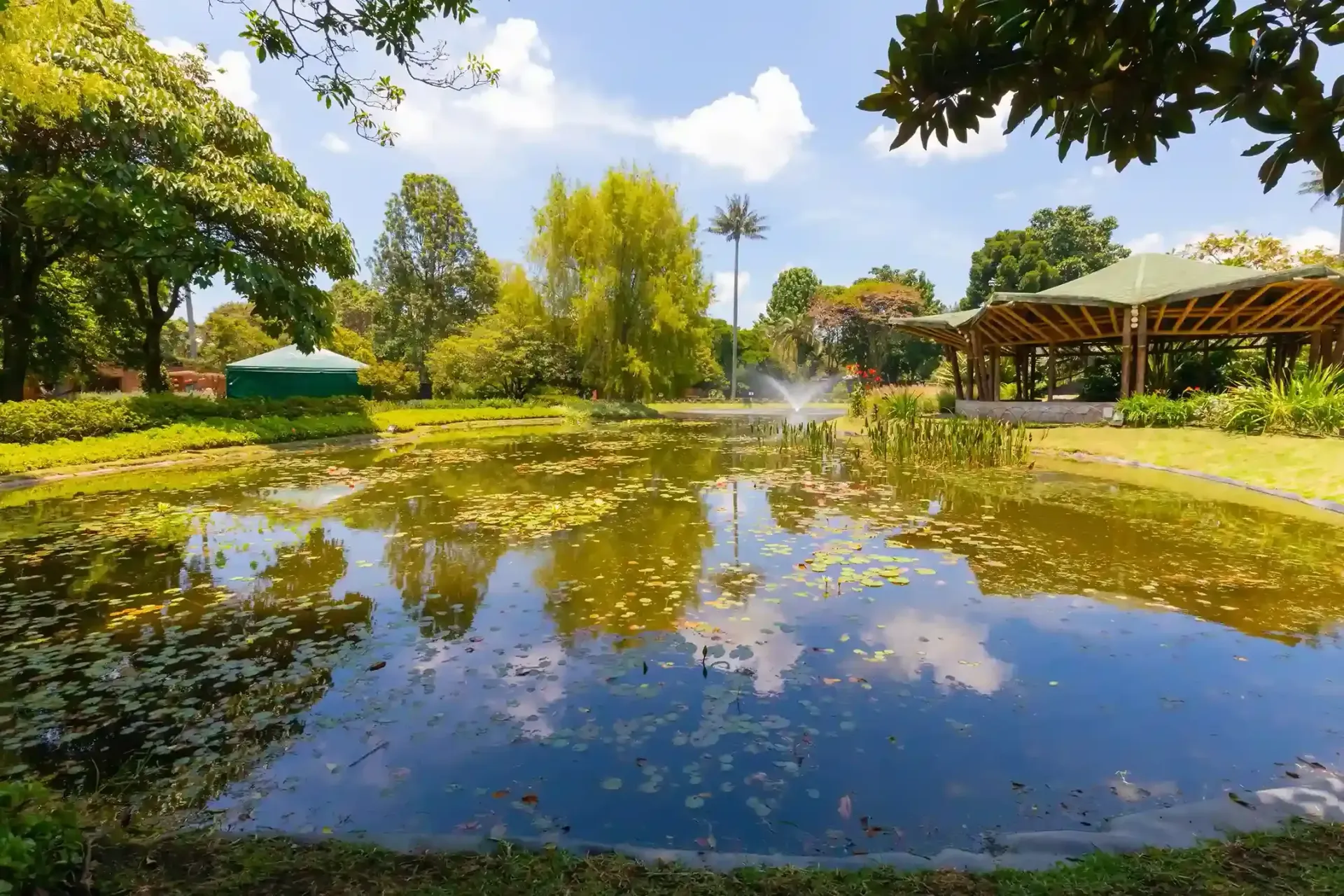 Vista del estanque y jardines del Jardín Botánico de Bogotá con reflejos de árboles en el agua. Un plan en familia para conoceBogotá.
