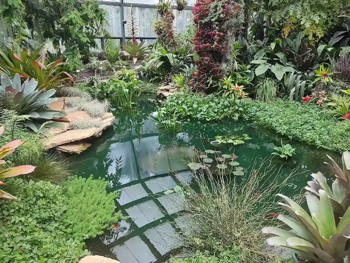 Interior del orquideario o tropicario del Jardín Botánico de Bogotá, mostrando un jardín. Una actividad para vacaciones en familia en Bogotá