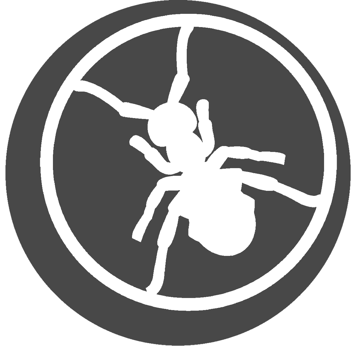 a bug in a circle
