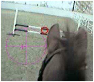 VISION SKILL DEVELOPMENT