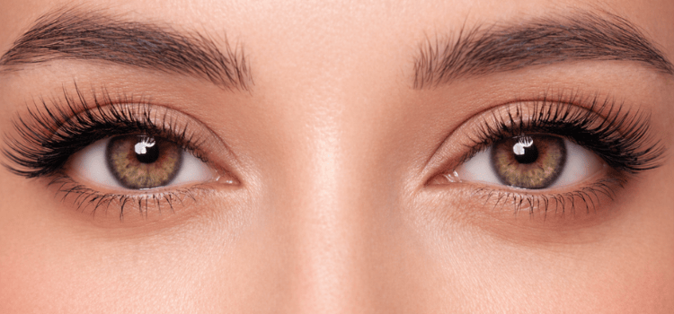 Close-up of human eyes with long, dark eyelashes and light brown irises under well-defined eyebrows.