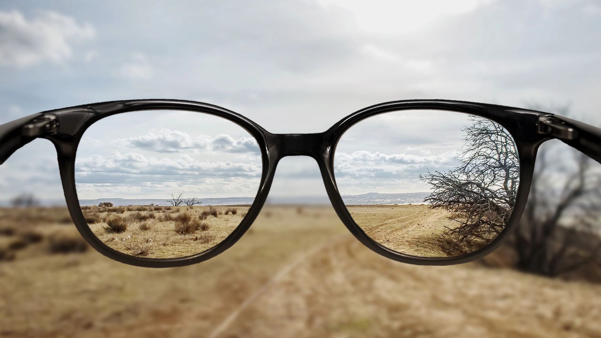 A pair of glasses looking out over a field.