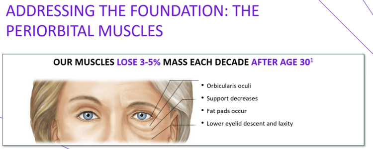 Poster on periorbital muscles, with eye diagram and bullets on muscle loss after age 30.