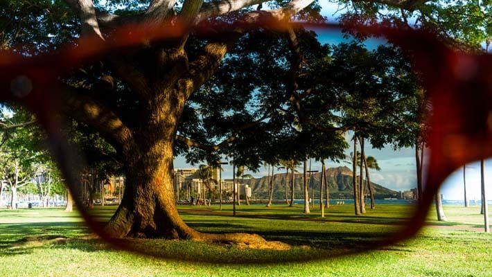 A person wearing sunglasses is looking at a tree in a park.
