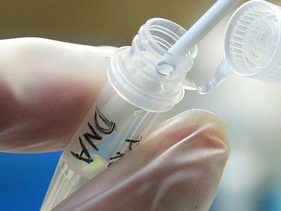 A person is holding a tube with dna written on it