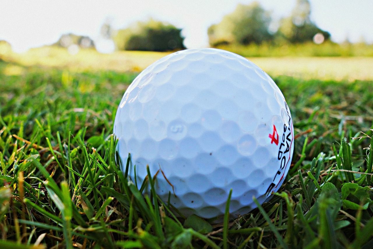 A white golf ball is sitting on top of a lush green field.