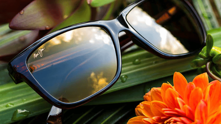 A pair of sunglasses is sitting on top of a flower.