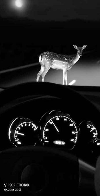 A deer is standing on the dashboard of a car.