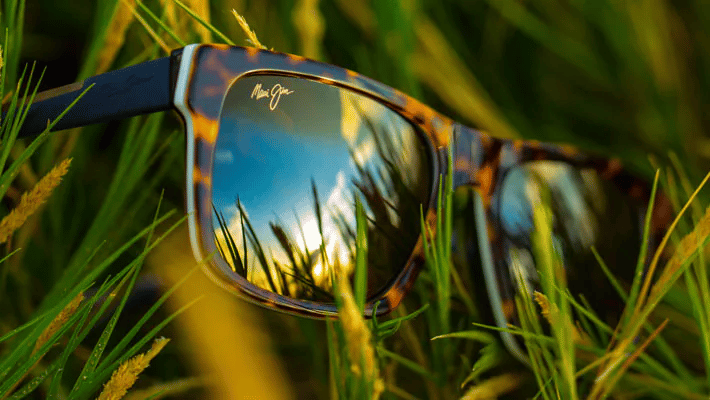 A pair of sunglasses is sitting in the grass.