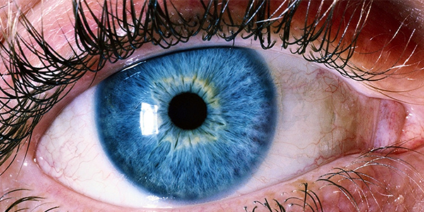 A close up of a person 's blue eye with long eyelashes.