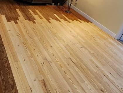 Shiny hardwood hallway with a striped rug and sunlight casting shadows through windows