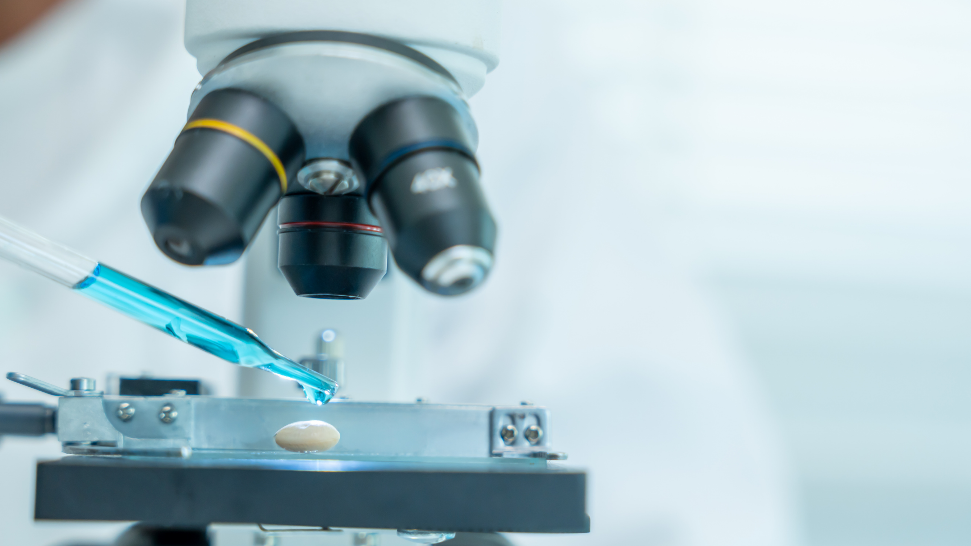 A pipette drips blue liquid onto a sample on a microscope stage.