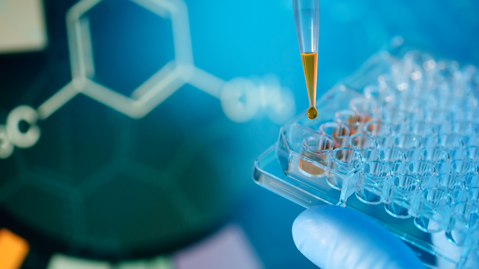 A gloved hand uses a pipette to add a yellow liquid into a laboratory multi-well plate.