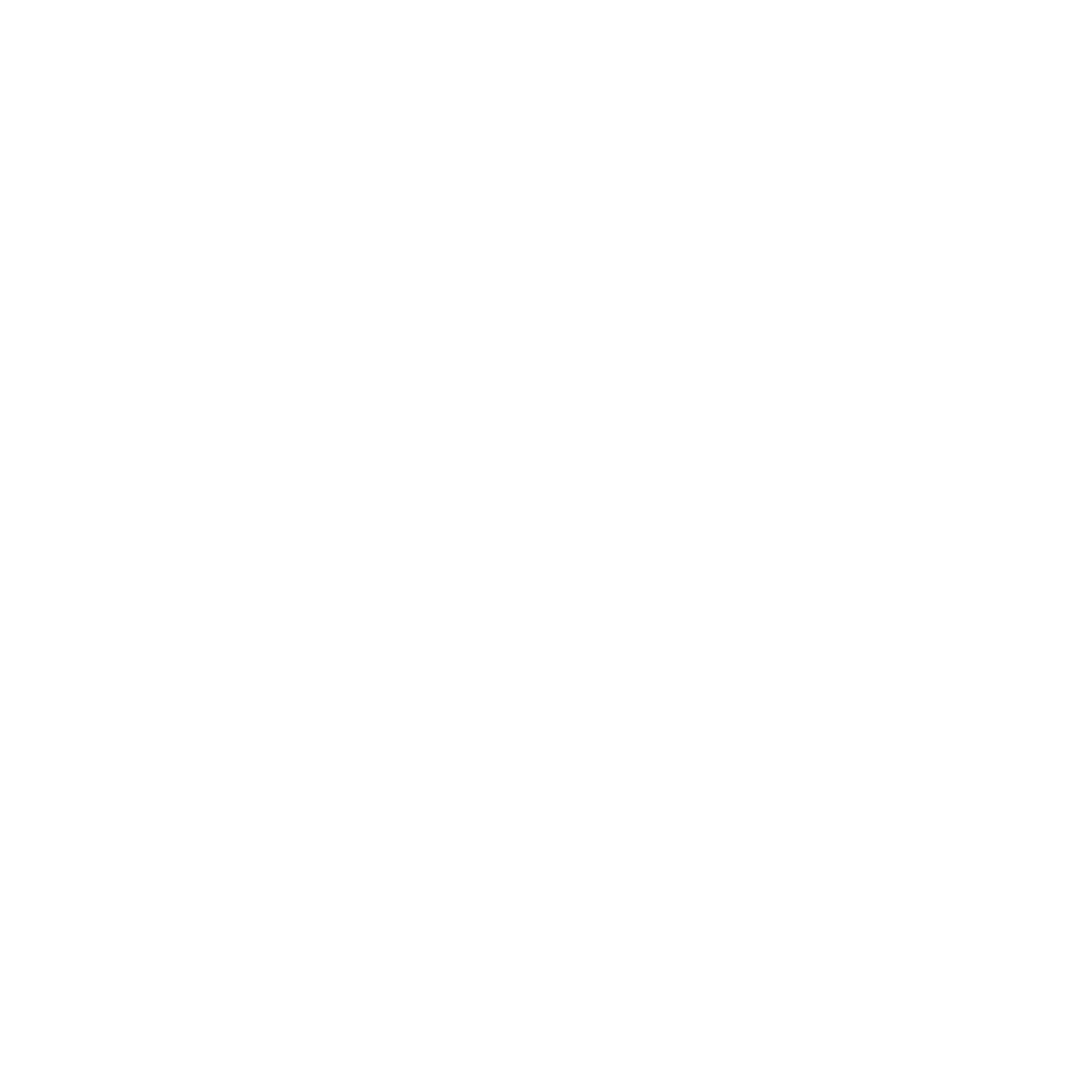 Optisomix Logo