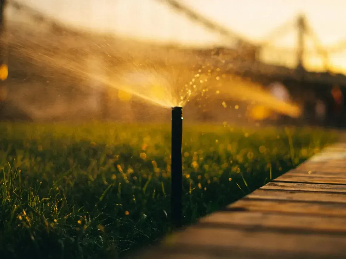 Lawn sprinkler spraying water beside a wooden path at sunset