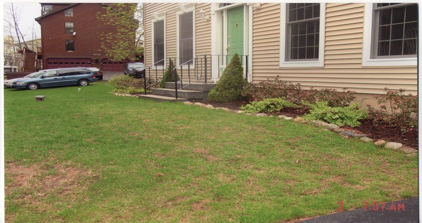 Lawn and beige house exterior with windows and small shrubs along the foundation