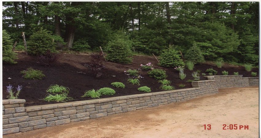 Mulched garden bed with small shrubs, stone retaining wall, and trees along a dirt path