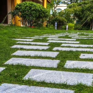 Stepping-stone path through green grass in a landscaped garden with shrubs and trees