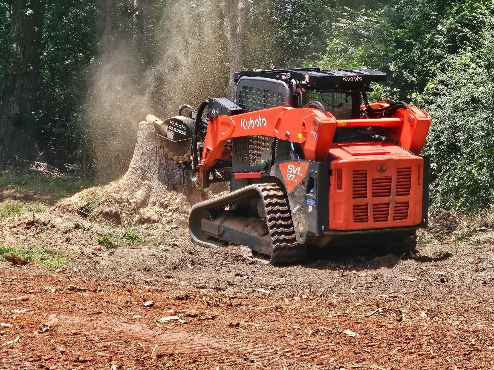 Orange skid steer grinding a tree stump in a forest, wood chips flying, sunny day.