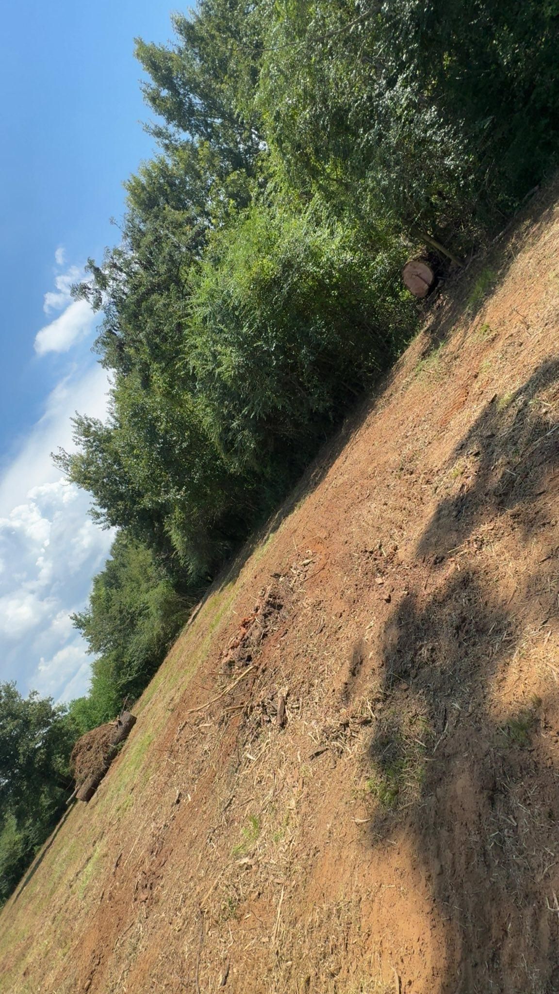 Sloped dirt path beside a line of green trees under a blue sky with clouds.