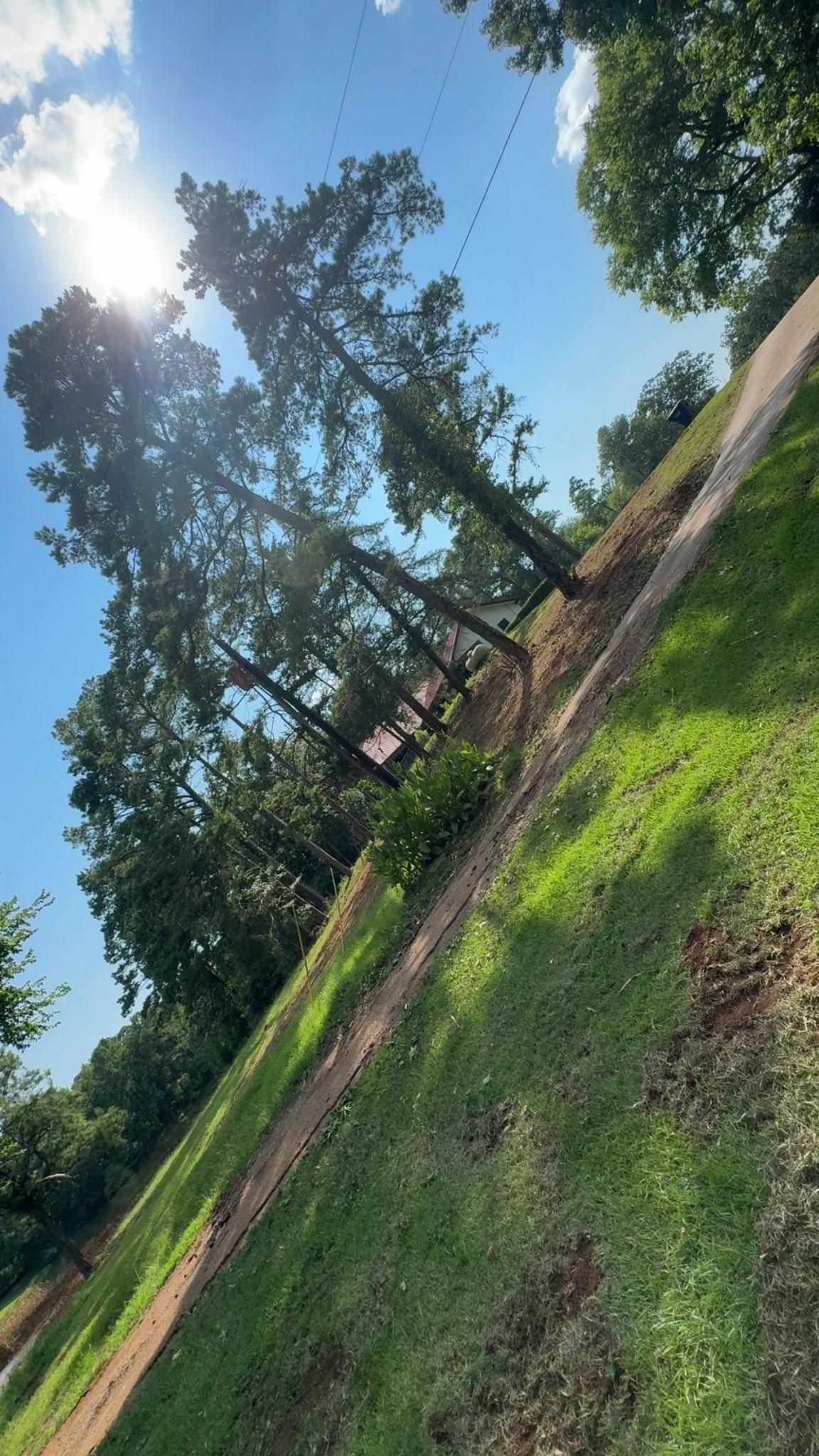 Sun shining through trees on a grassy hill. A path slopes downward, blue sky above.