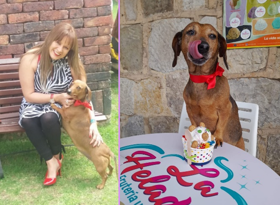Mujer con perro con collar rojo, sentada. El perro se lame la nariz junto a un helado.